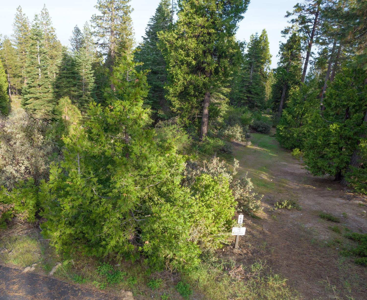 0 Lot 12 Leopard Lilly Ln, Shaver Lake, CA 93664