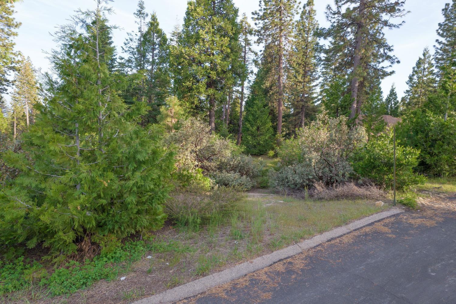 0 Lot 12 Leopard Lilly Ln, Shaver Lake, CA 93664
