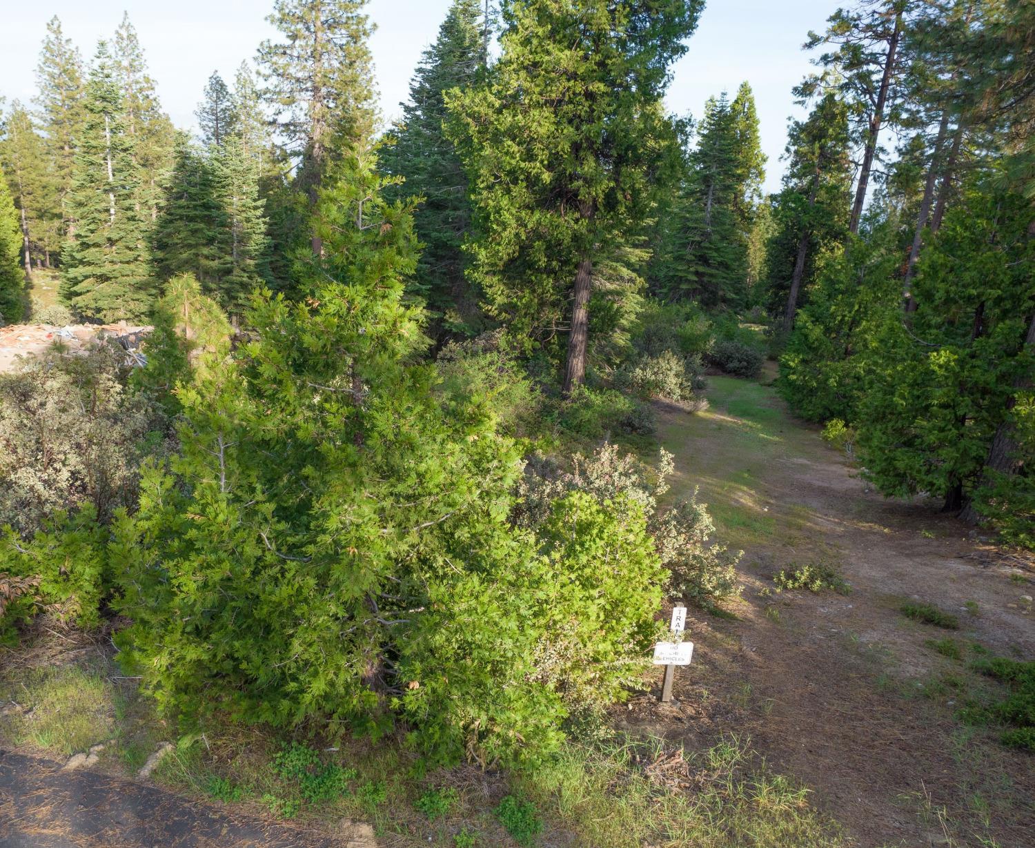 0 Lot 12 Leopard Lilly Ln, Shaver Lake, CA 93664