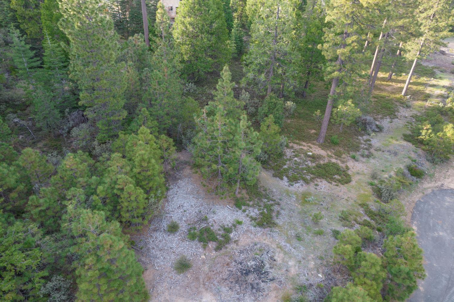 0 Lot 12 Leopard Lilly Ln, Shaver Lake, CA 93664