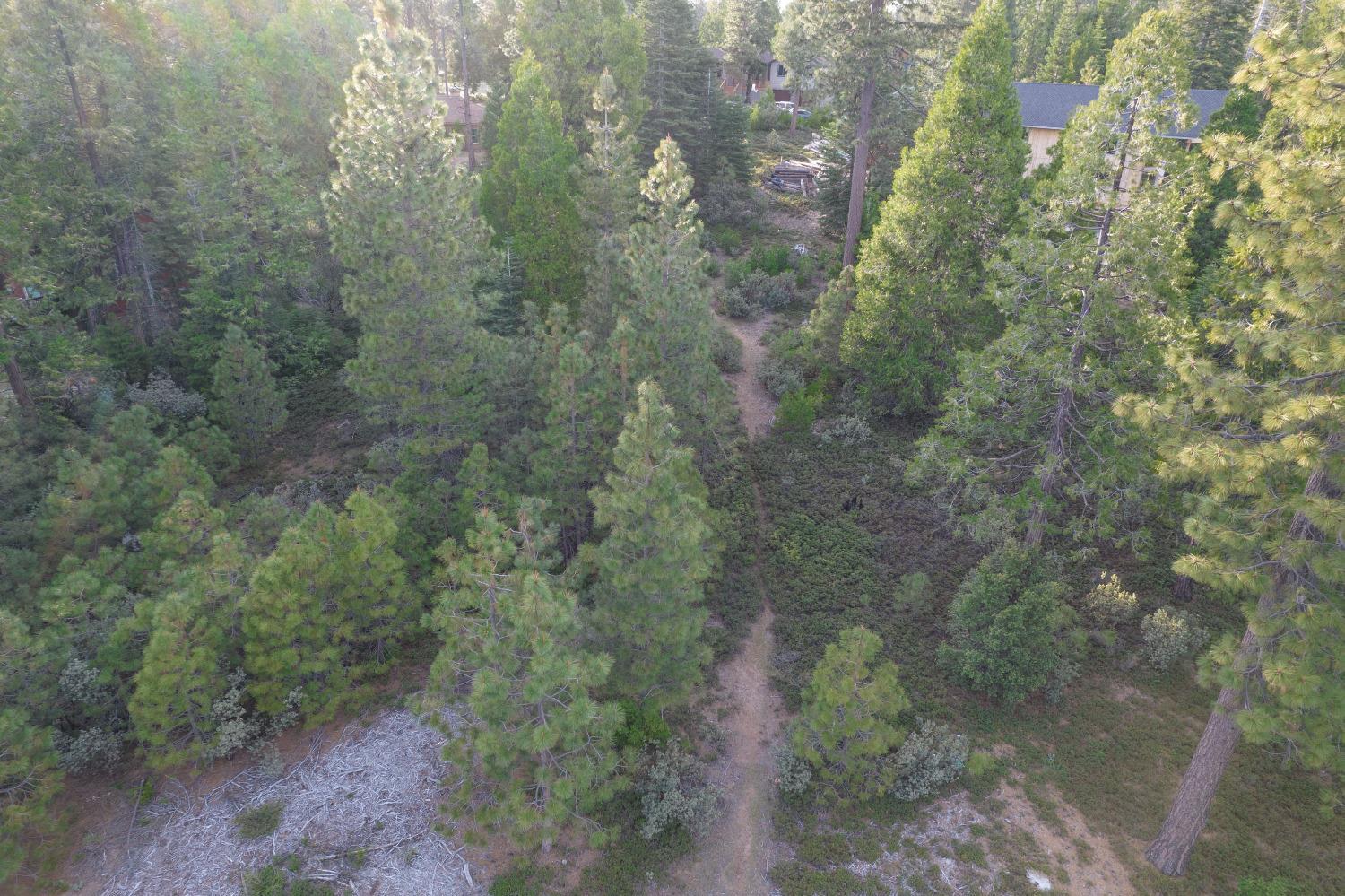 0 Lot 12 Leopard Lilly Ln, Shaver Lake, CA 93664
