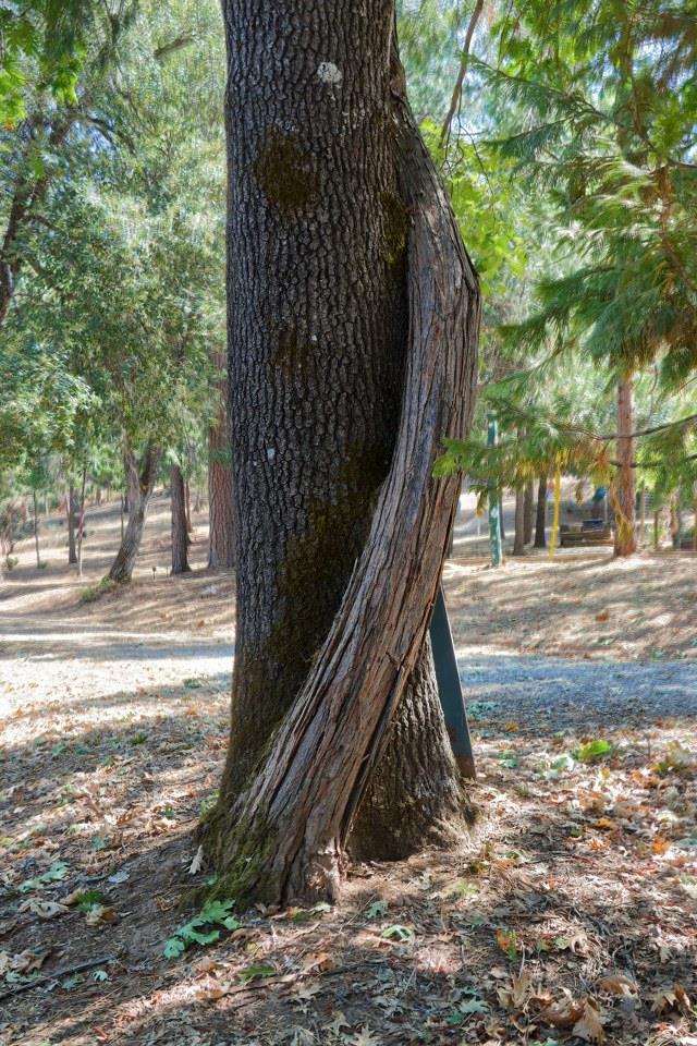 36555 Mudge Ranch Rd, Coarsegold, CA 93614