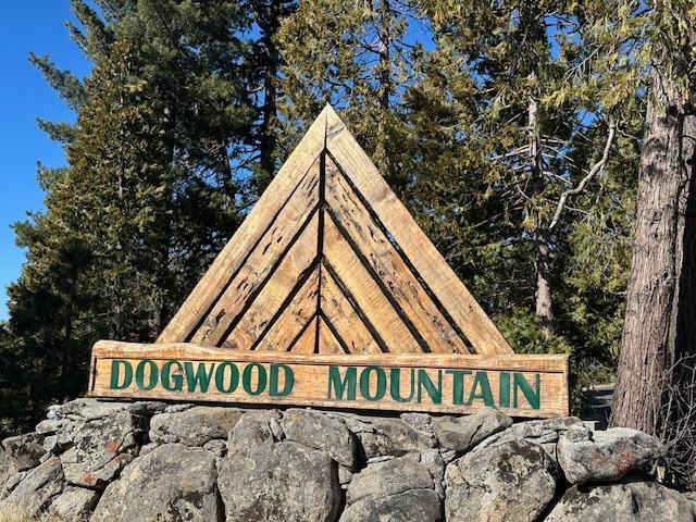 39915 Big Shuteye Ln, Shaver Lake, CA 93664