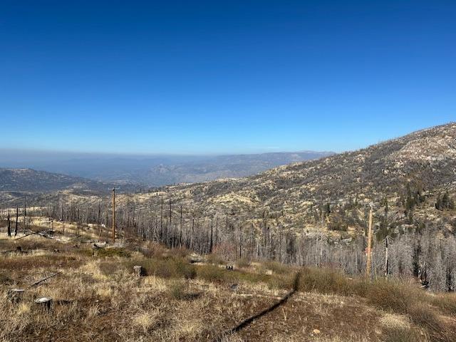 39915 Big Shuteye Ln, Shaver Lake, CA 93664