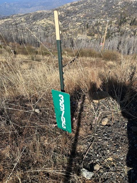 39915 Big Shuteye Ln, Shaver Lake, CA 93664