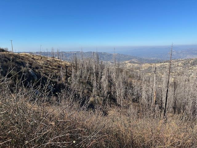 39915 Big Shuteye Ln, Shaver Lake, CA 93664