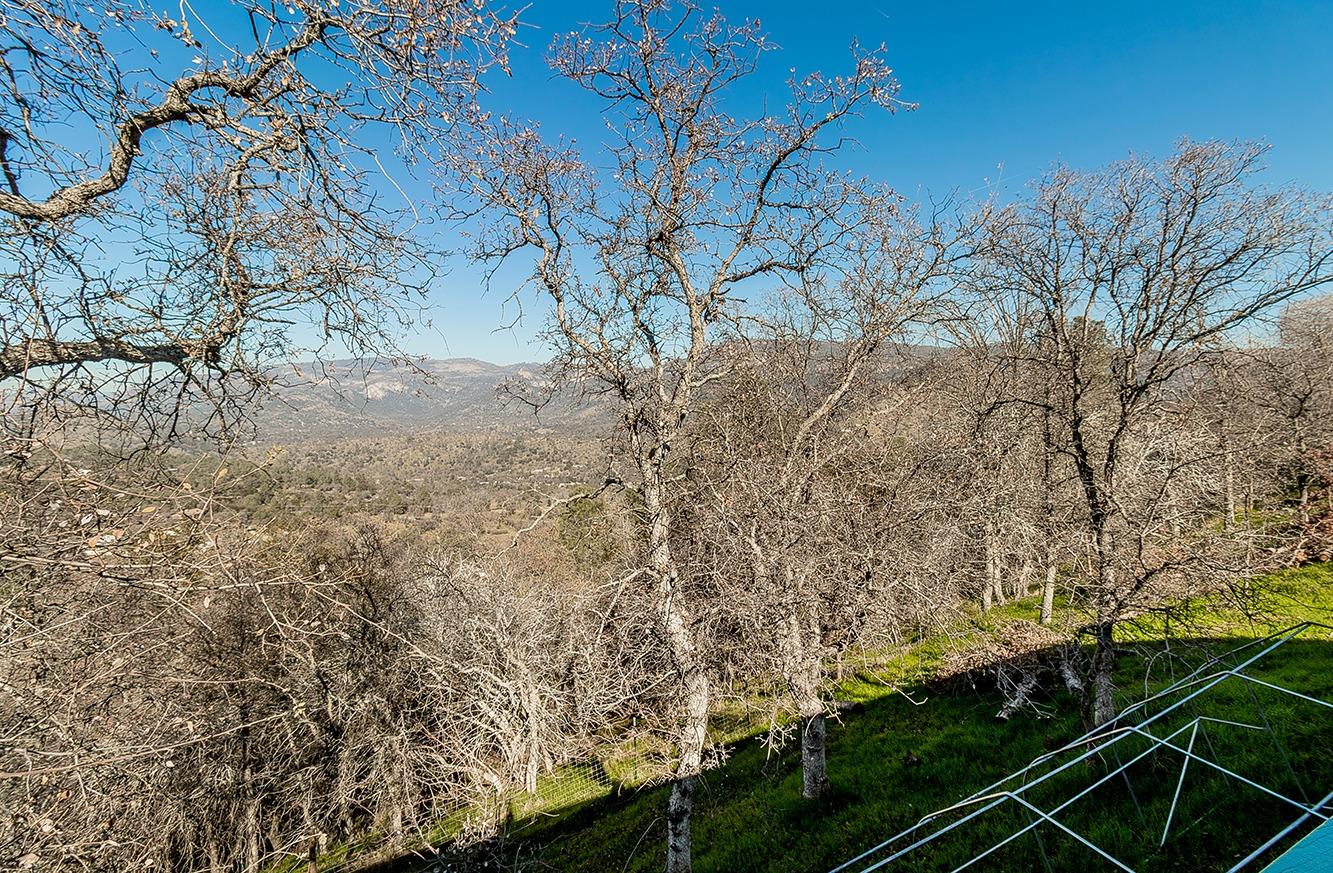 29356 Larkspur Rd, Tollhouse, CA 93667