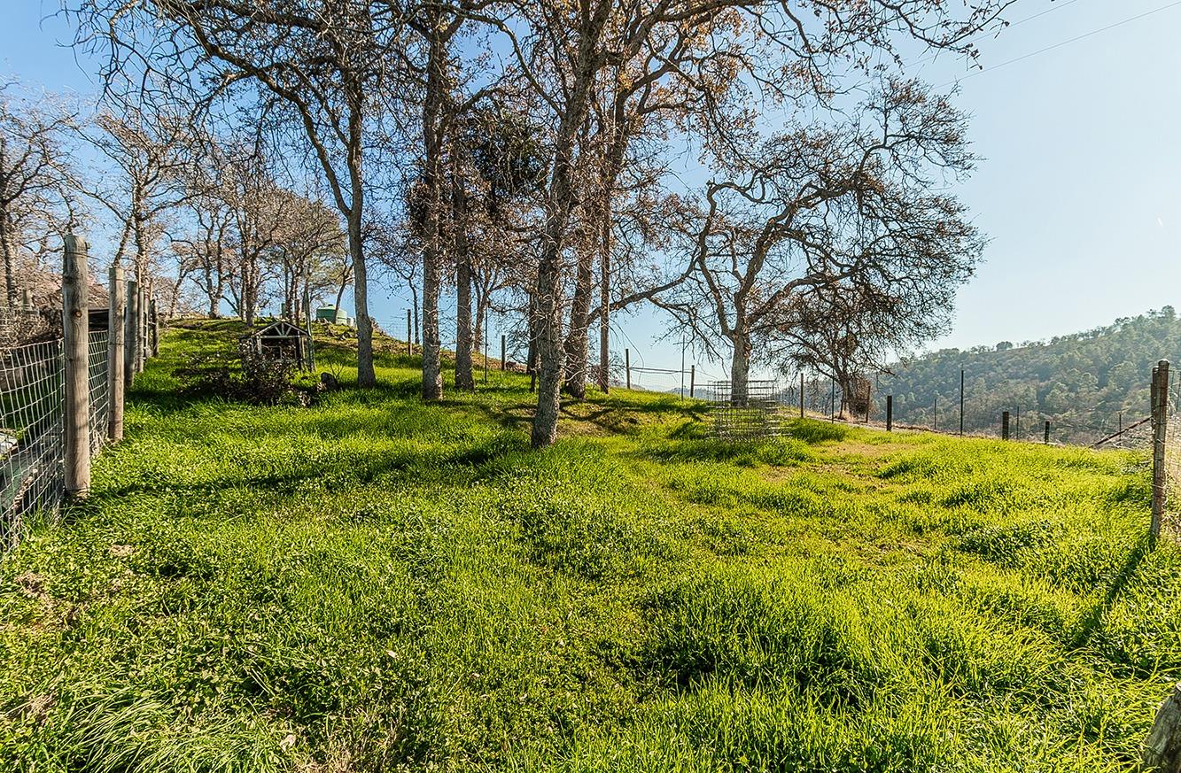 29356 Larkspur Rd, Tollhouse, CA 93667