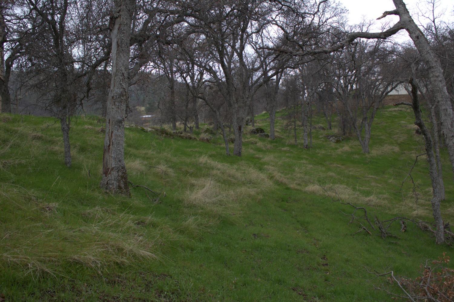 29356 Larkspur Rd, Tollhouse, CA 93667