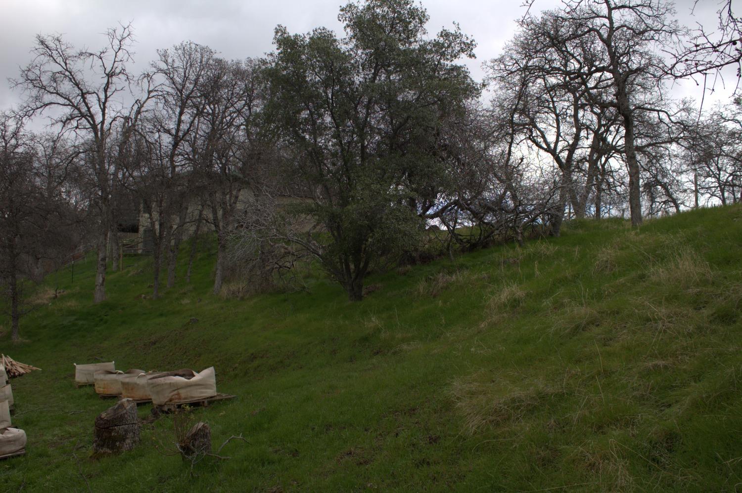 29356 Larkspur Rd, Tollhouse, CA 93667