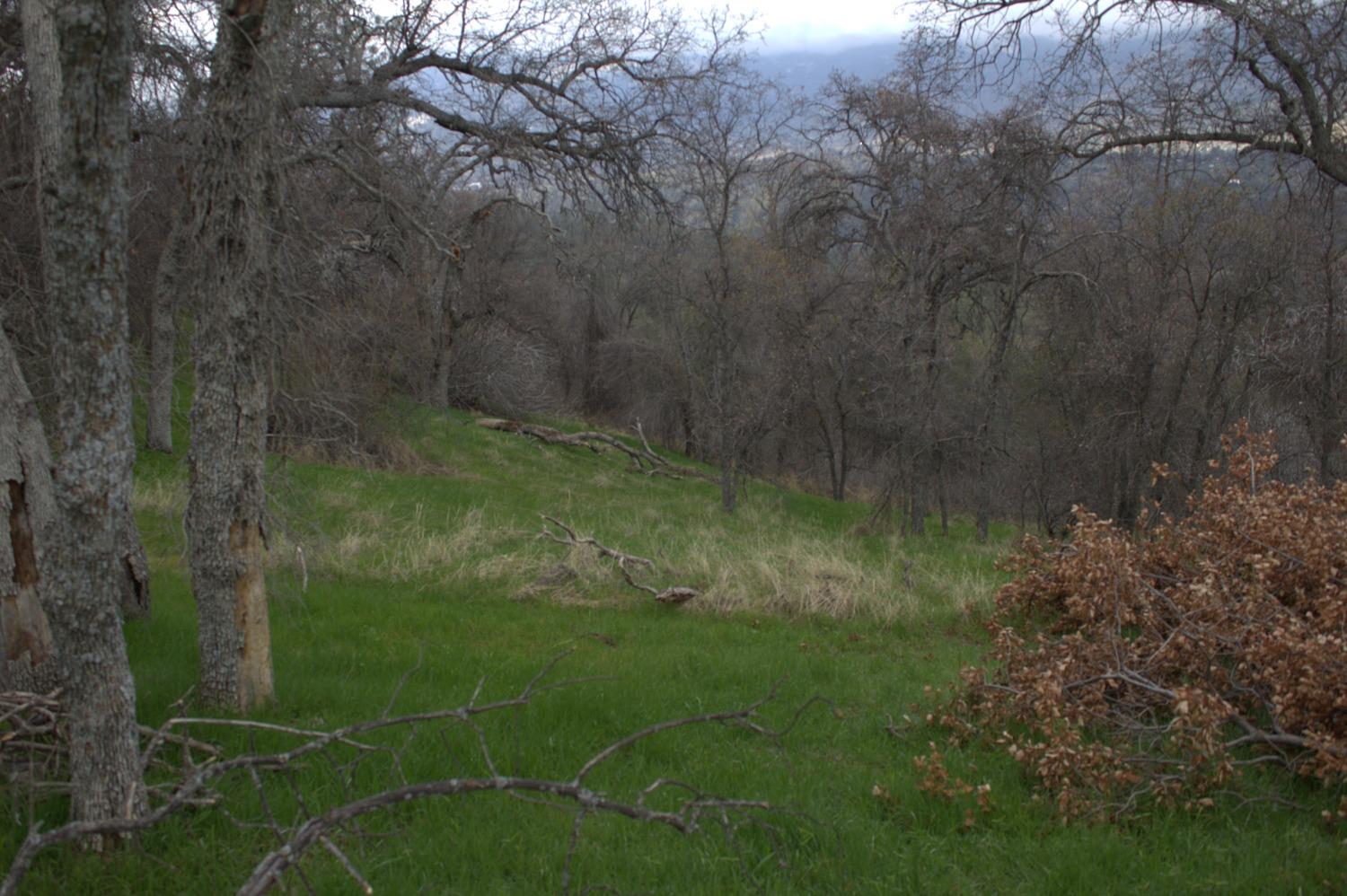 29356 Larkspur Rd, Tollhouse, CA 93667