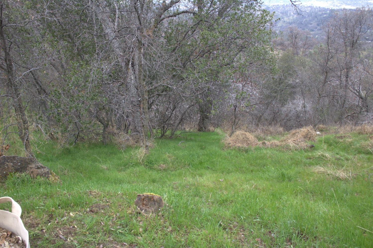 29356 Larkspur Rd, Tollhouse, CA 93667