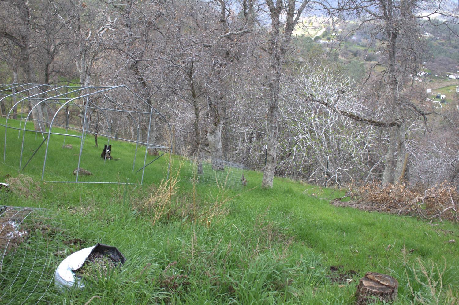 29356 Larkspur Rd, Tollhouse, CA 93667