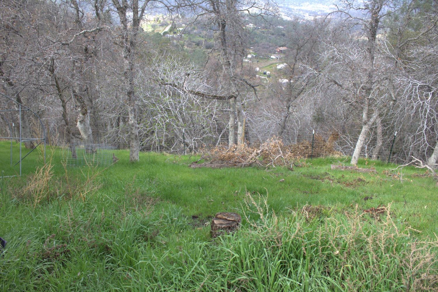 29356 Larkspur Rd, Tollhouse, CA 93667