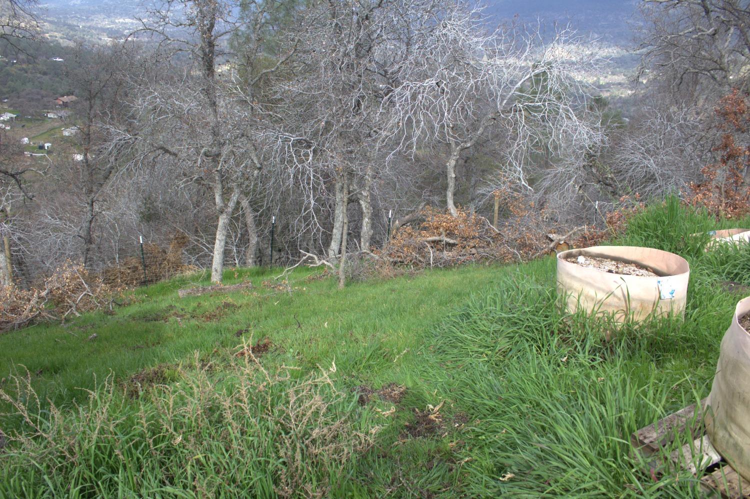 29356 Larkspur Rd, Tollhouse, CA 93667