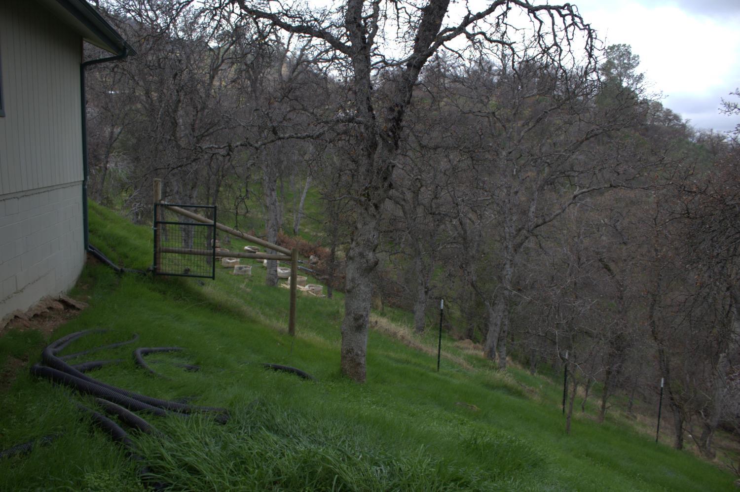 29356 Larkspur Rd, Tollhouse, CA 93667