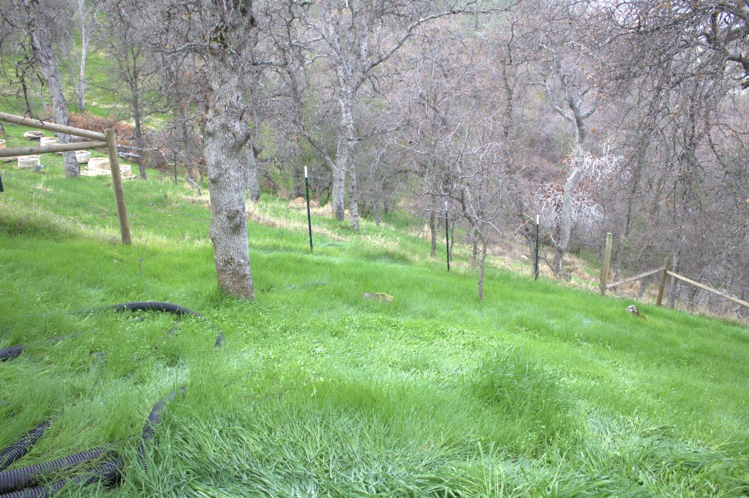 29356 Larkspur Rd, Tollhouse, CA 93667