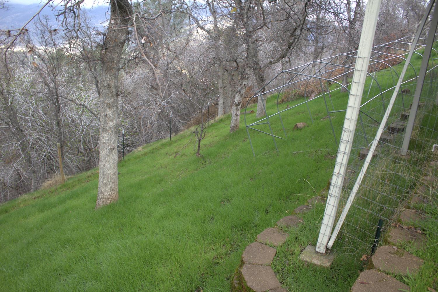 29356 Larkspur Rd, Tollhouse, CA 93667