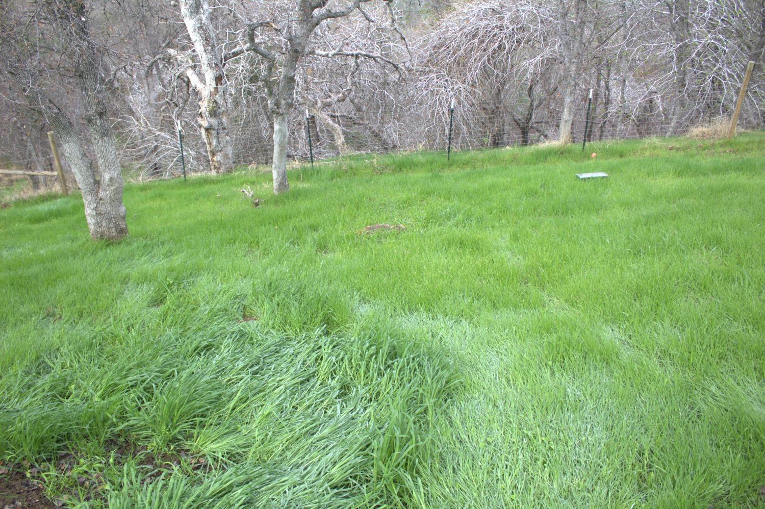 29356 Larkspur Rd, Tollhouse, CA 93667