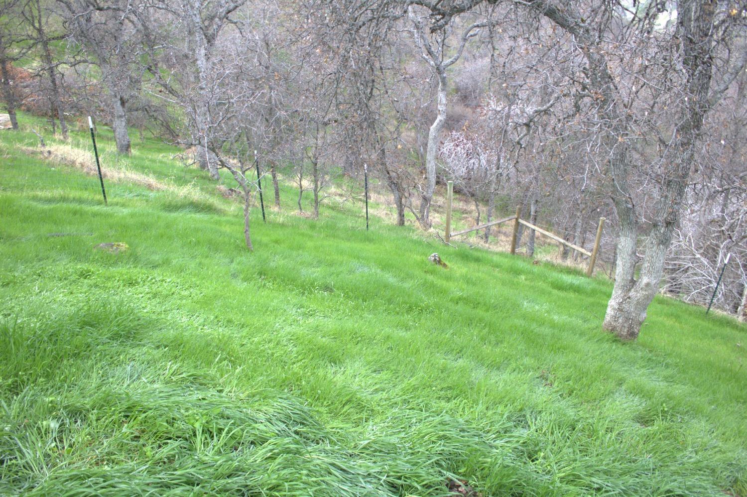 29356 Larkspur Rd, Tollhouse, CA 93667