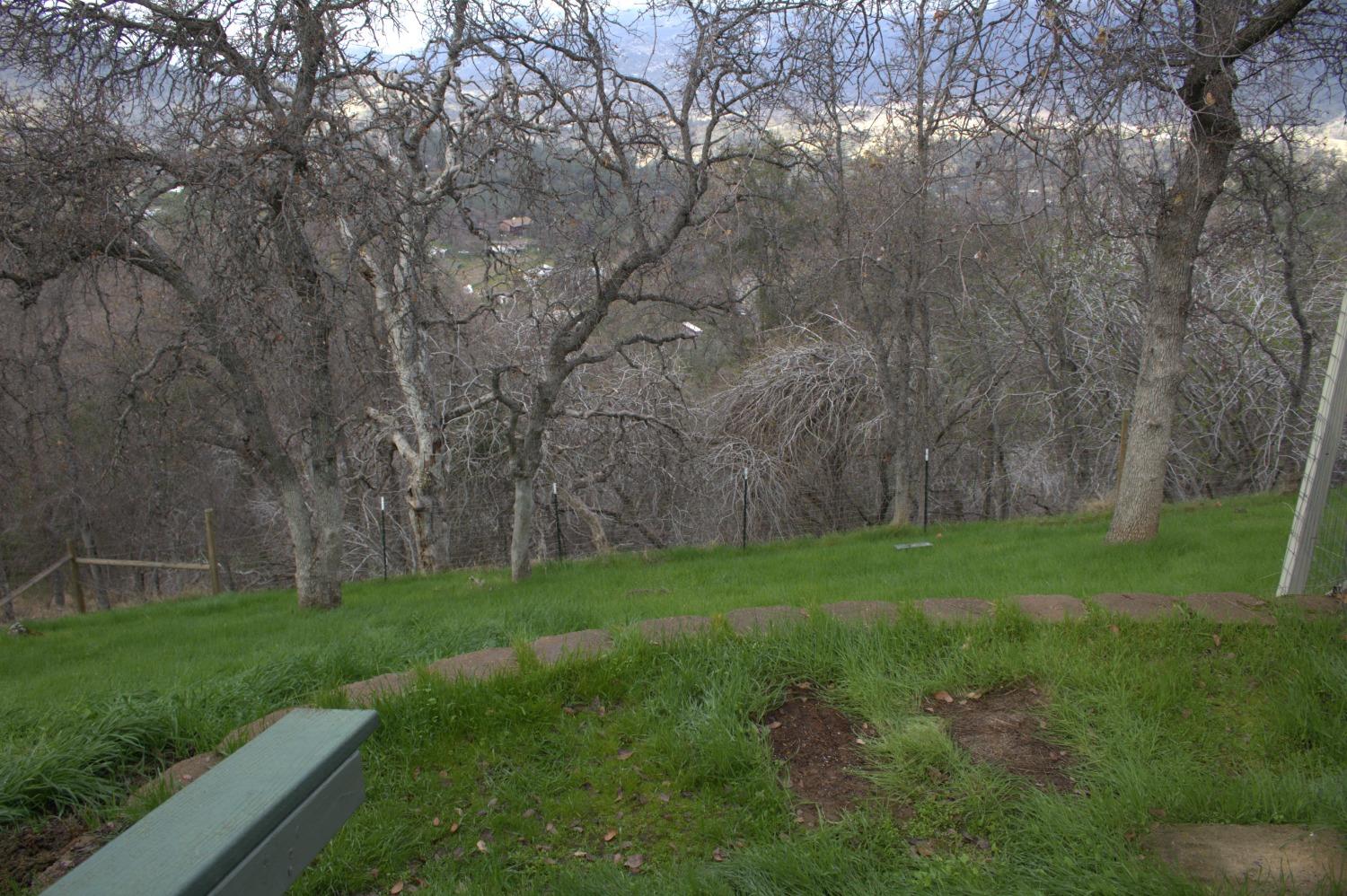 29356 Larkspur Rd, Tollhouse, CA 93667