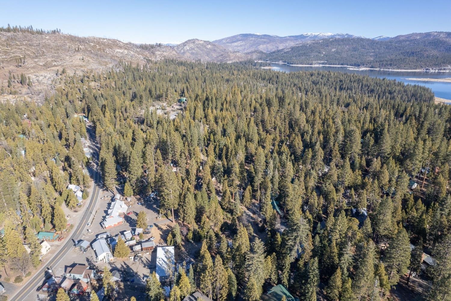 41798 Tollhouse Road, Shaver Lake, CA 93664
