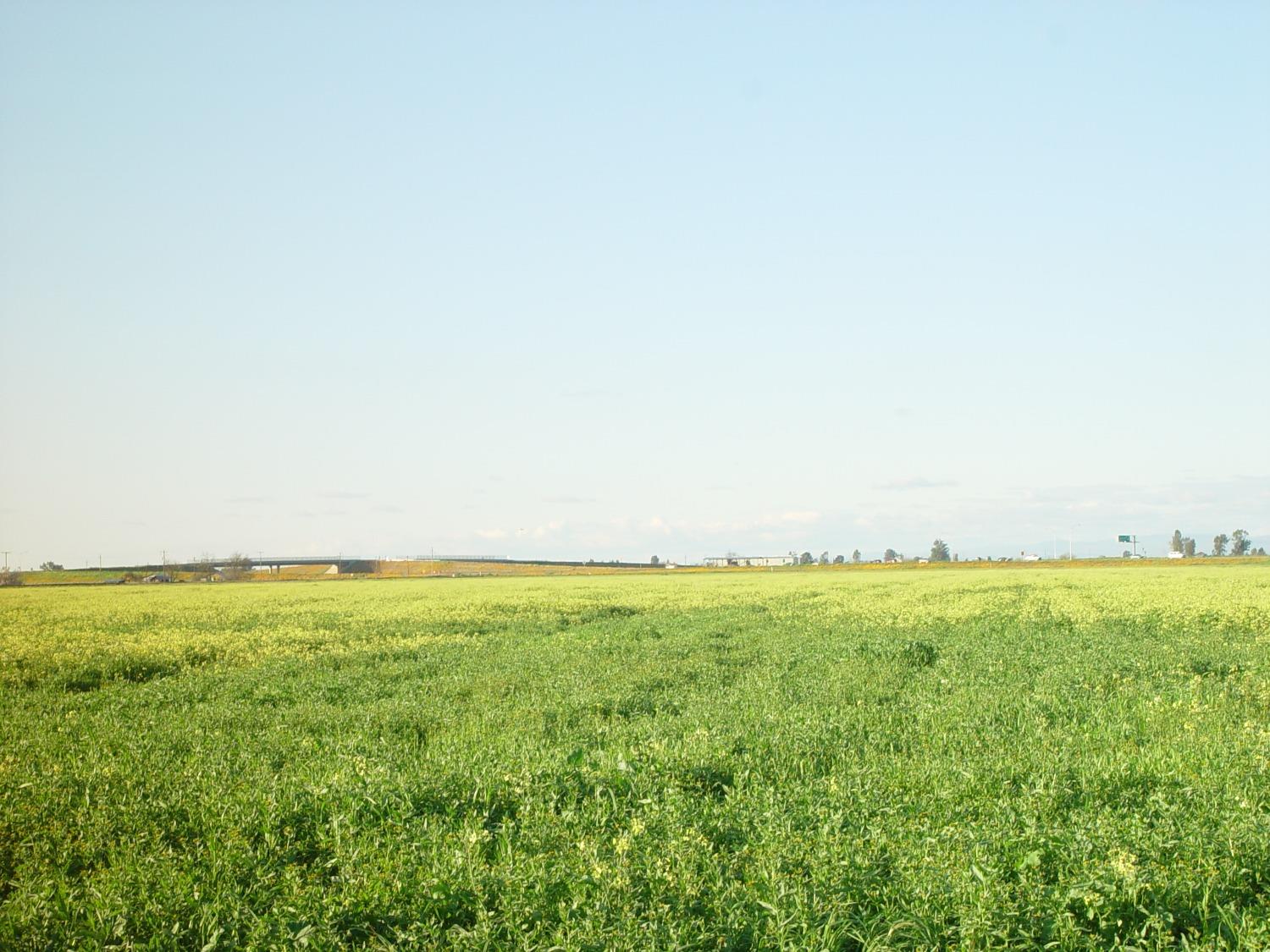 20242 AVE. 21 1/2, Chowchilla, CA 93610