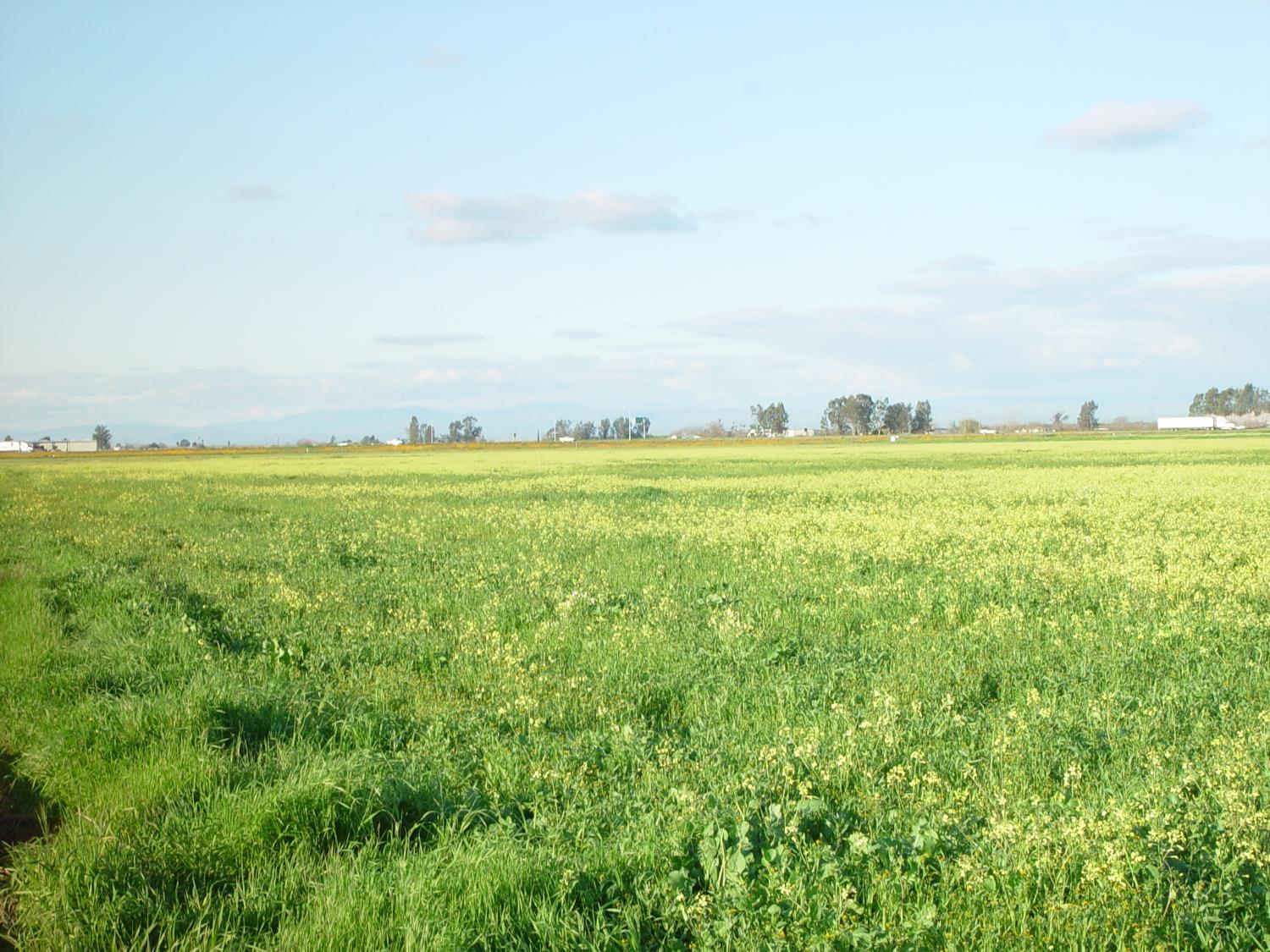 20242 AVE. 21 1/2, Chowchilla, CA 93610