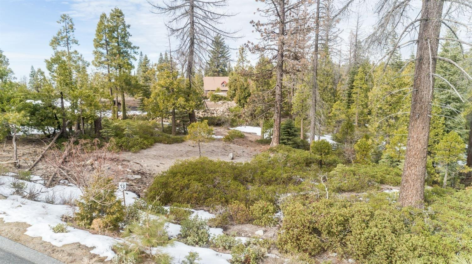 39897 Fawn Lilly, Shaver Lake, CA 93664
