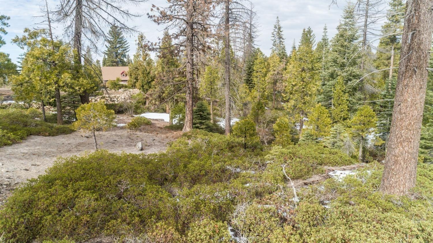 39897 Fawn Lilly, Shaver Lake, CA 93664