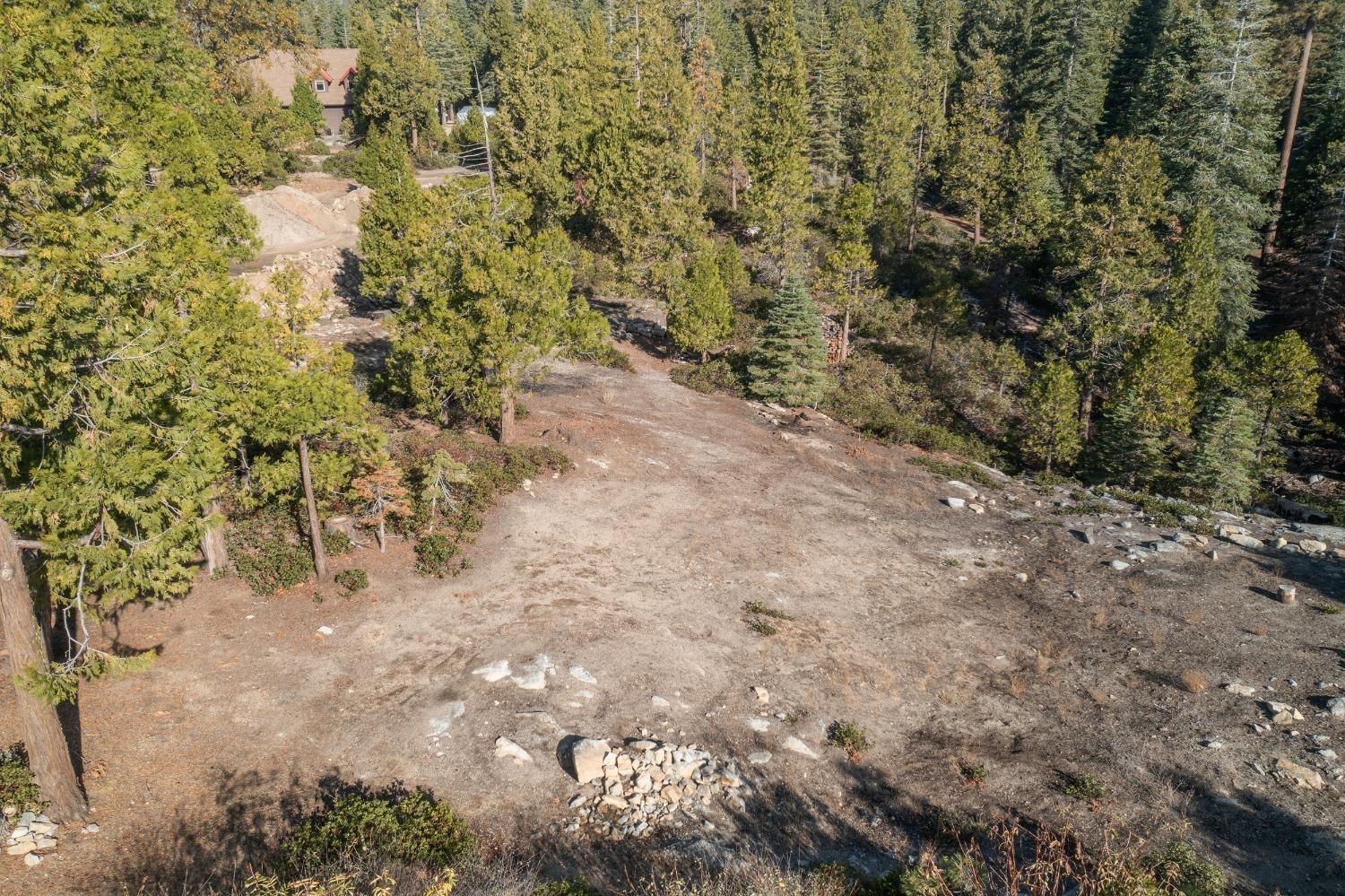 39897 Fawn Lilly, Shaver Lake, CA 93664