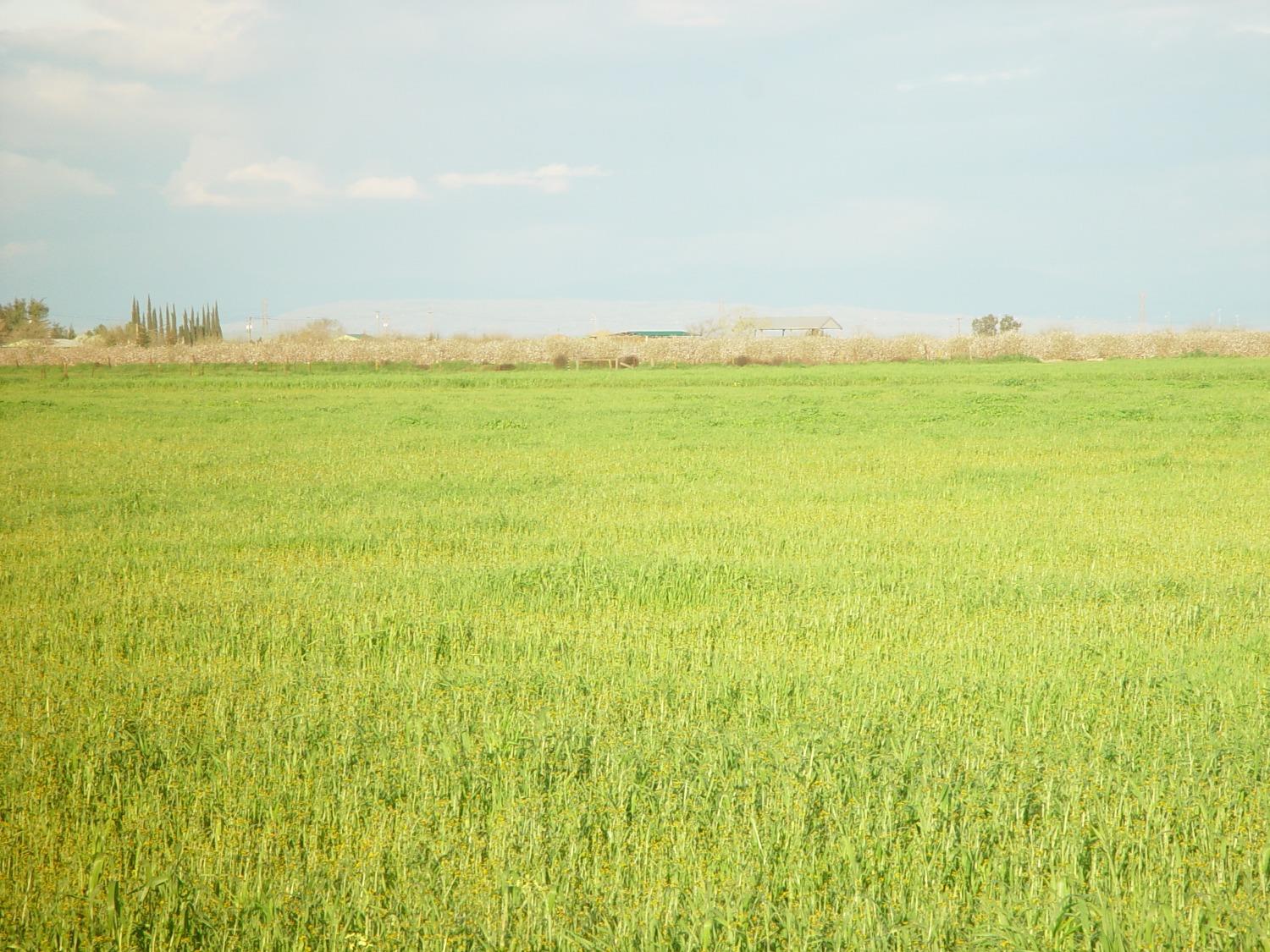 1 ROAD 18 3/4, Chowchilla, CA 93610