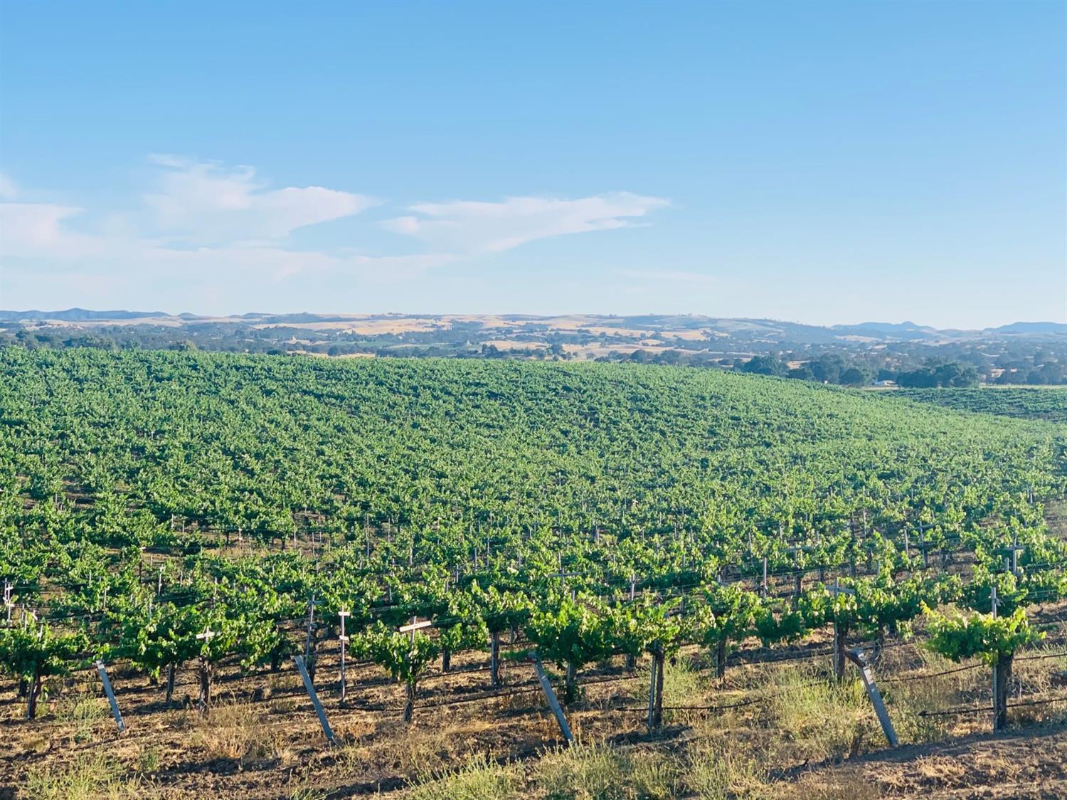 4860 Camp 8 Road, Paso Robles, CA 93446