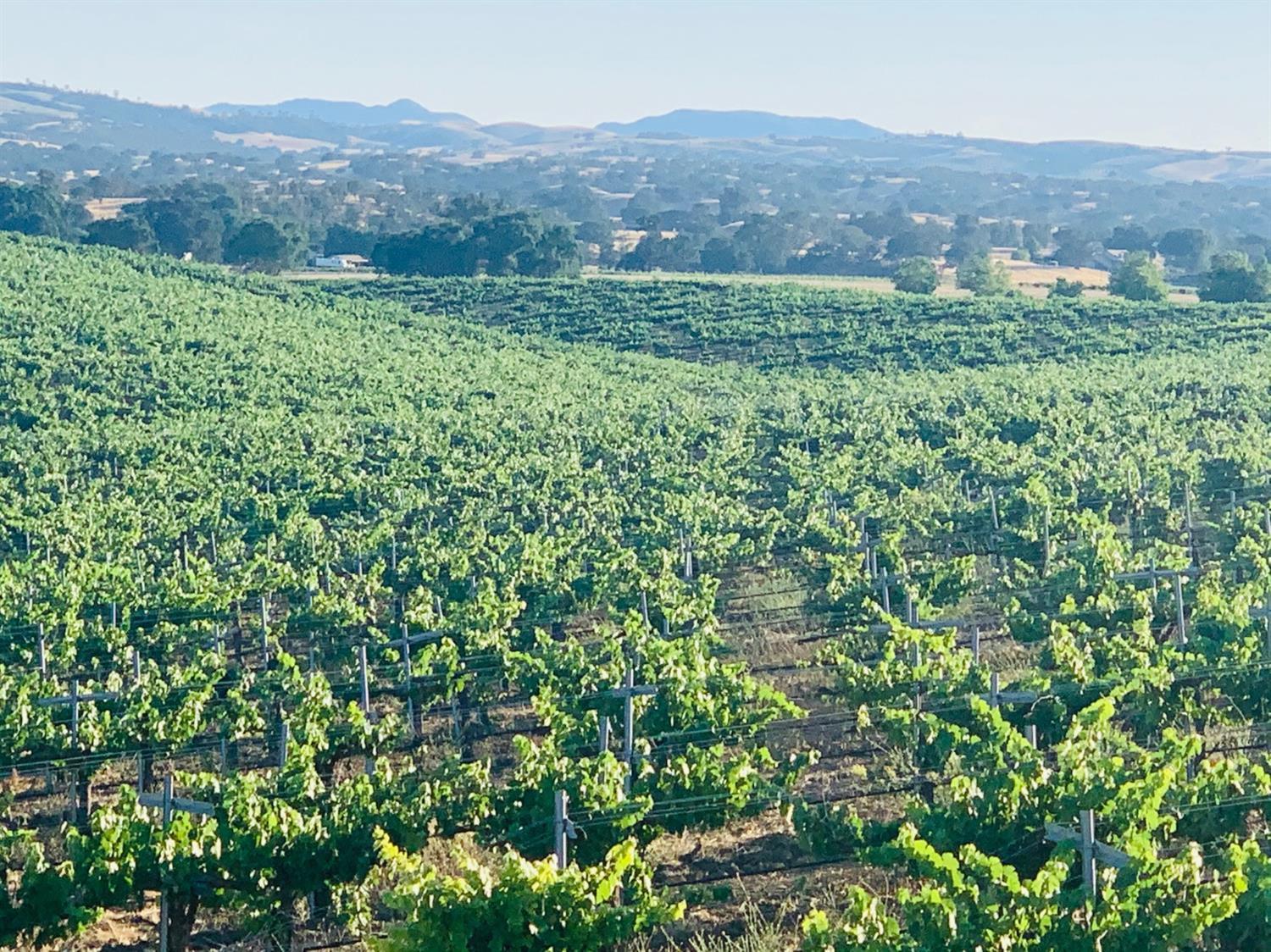 4860 Camp 8 Road, Paso Robles, CA 93446