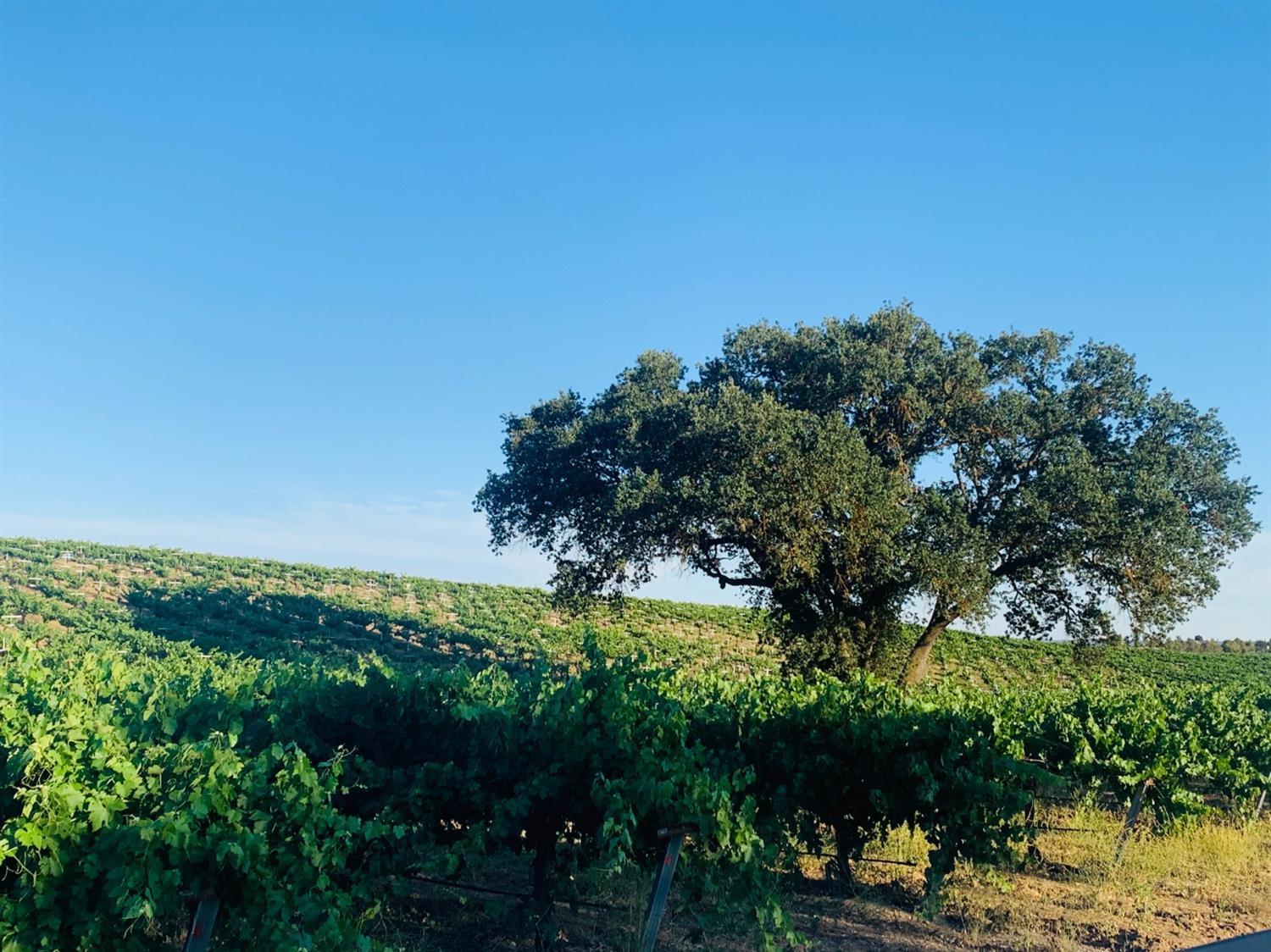 4860 Camp 8 Road, Paso Robles, CA 93446