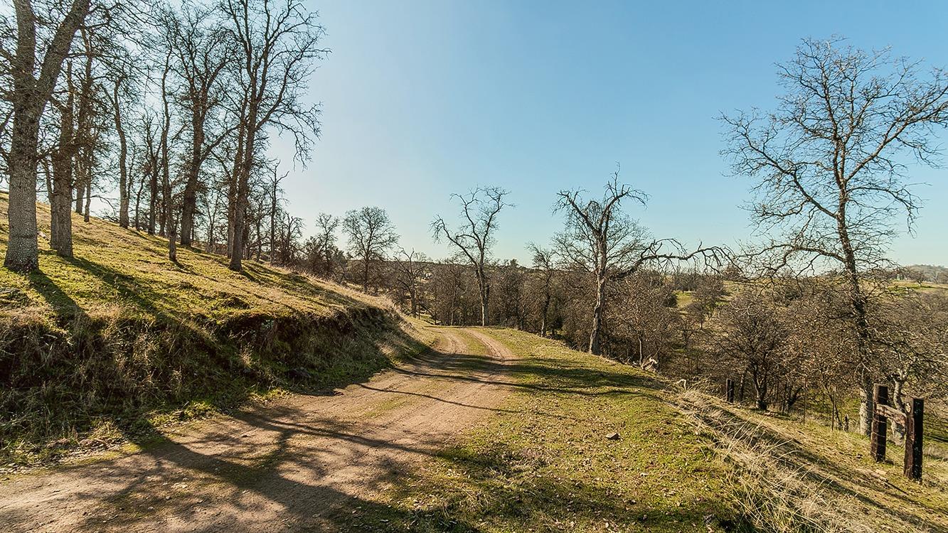 11185 Rusty Spur Ln, Clovis, CA 93619