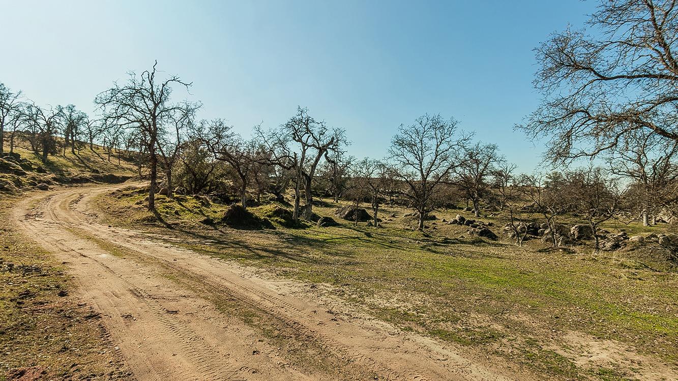 11185 Rusty Spur Ln, Clovis, CA 93619