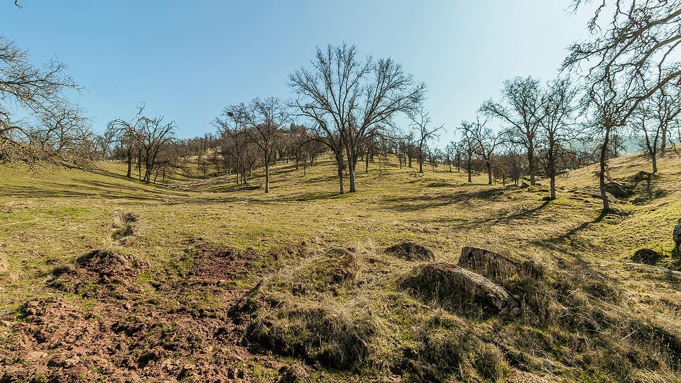 11185 Rusty Spur Ln, Clovis, CA 93619