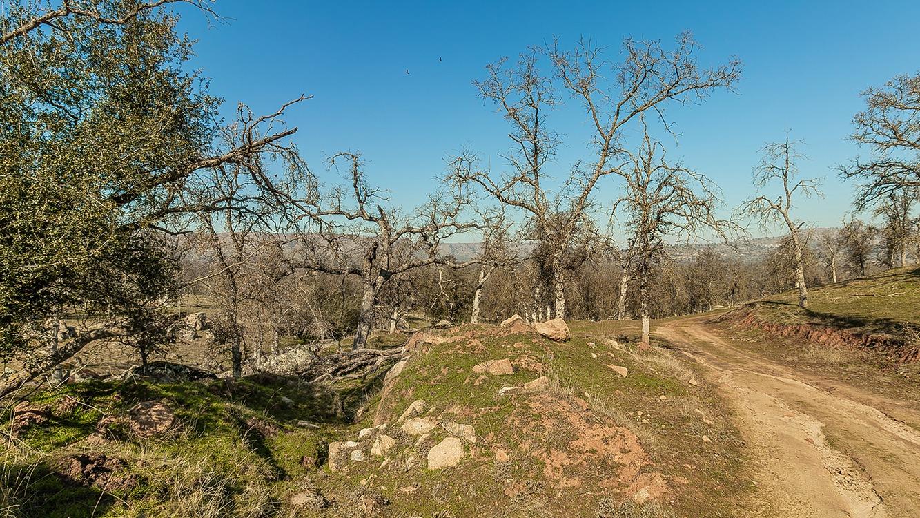 11185 Rusty Spur Ln, Clovis, CA 93619