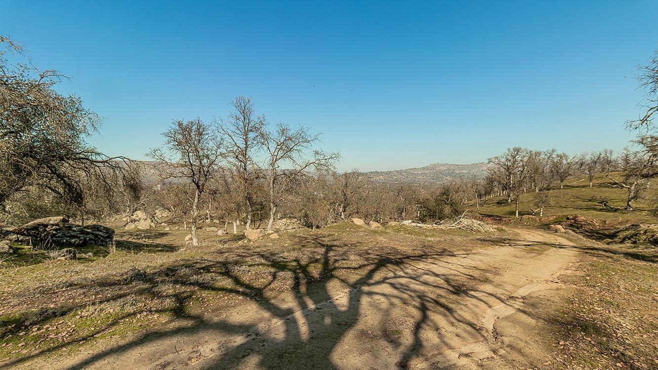 11185 Rusty Spur Ln, Clovis, CA 93619