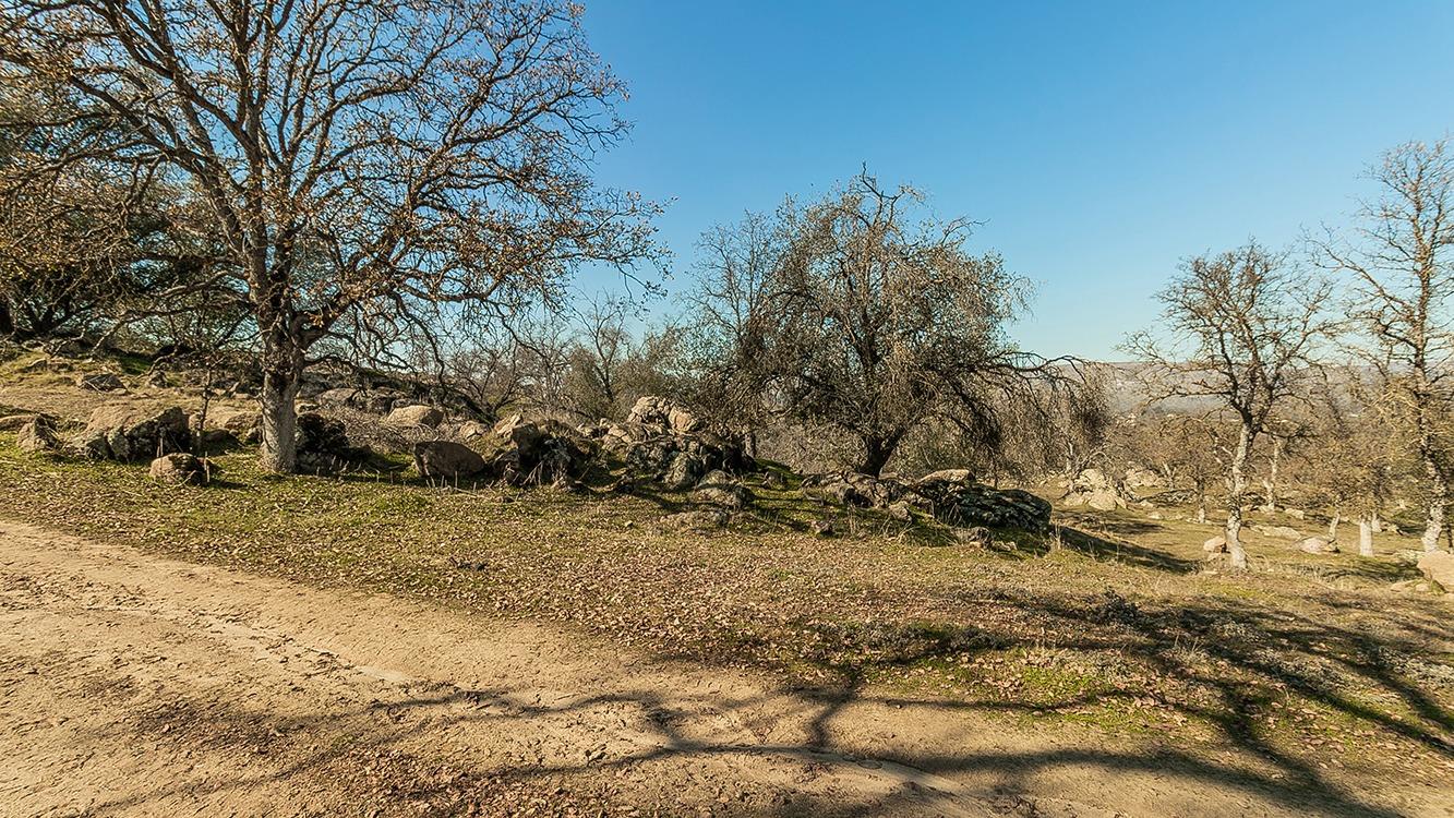 11185 Rusty Spur Ln, Clovis, CA 93619