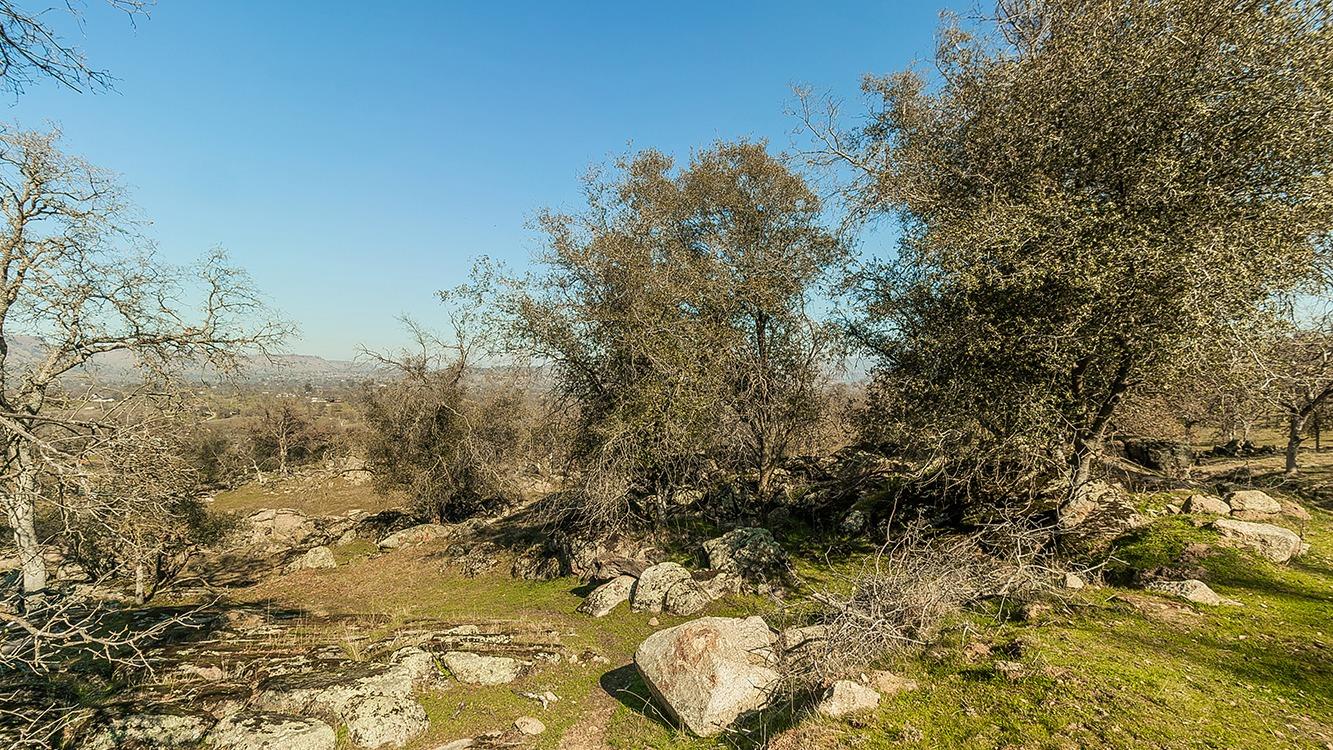 11185 Rusty Spur Ln, Clovis, CA 93619