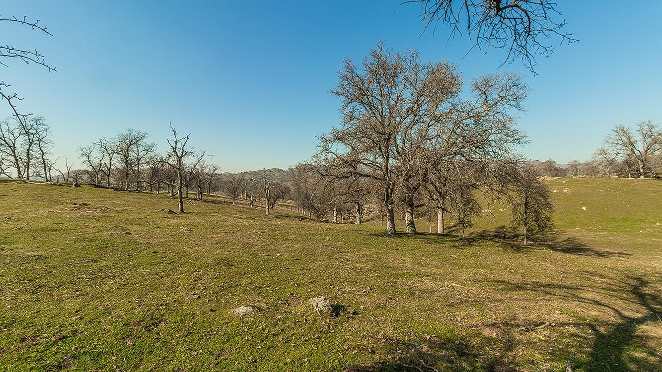 11185 Rusty Spur Ln, Clovis, CA 93619