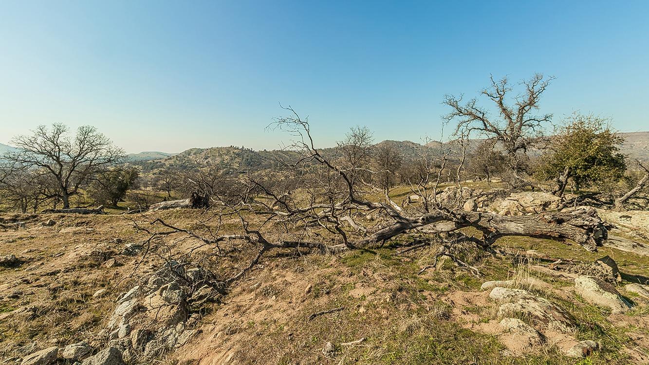 11185 Rusty Spur Ln, Clovis, CA 93619