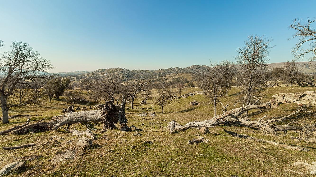 11185 Rusty Spur Ln, Clovis, CA 93619