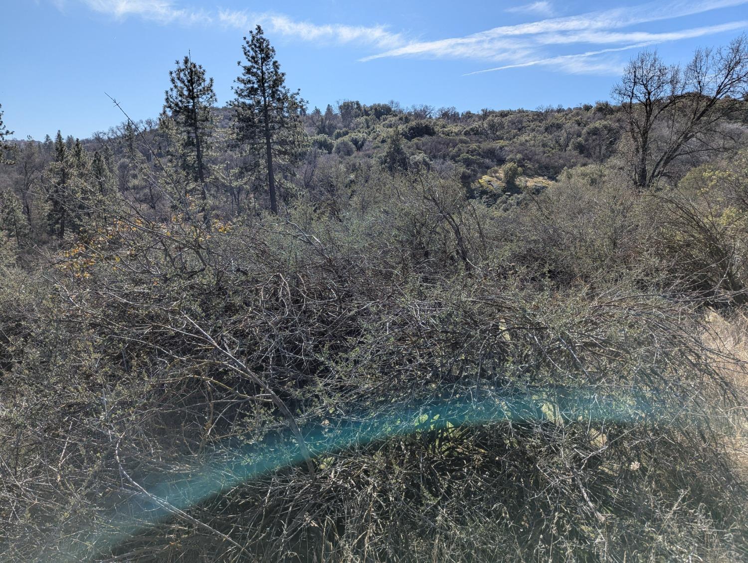 141517 Dunlap Rd, Miramonte, CA 93641