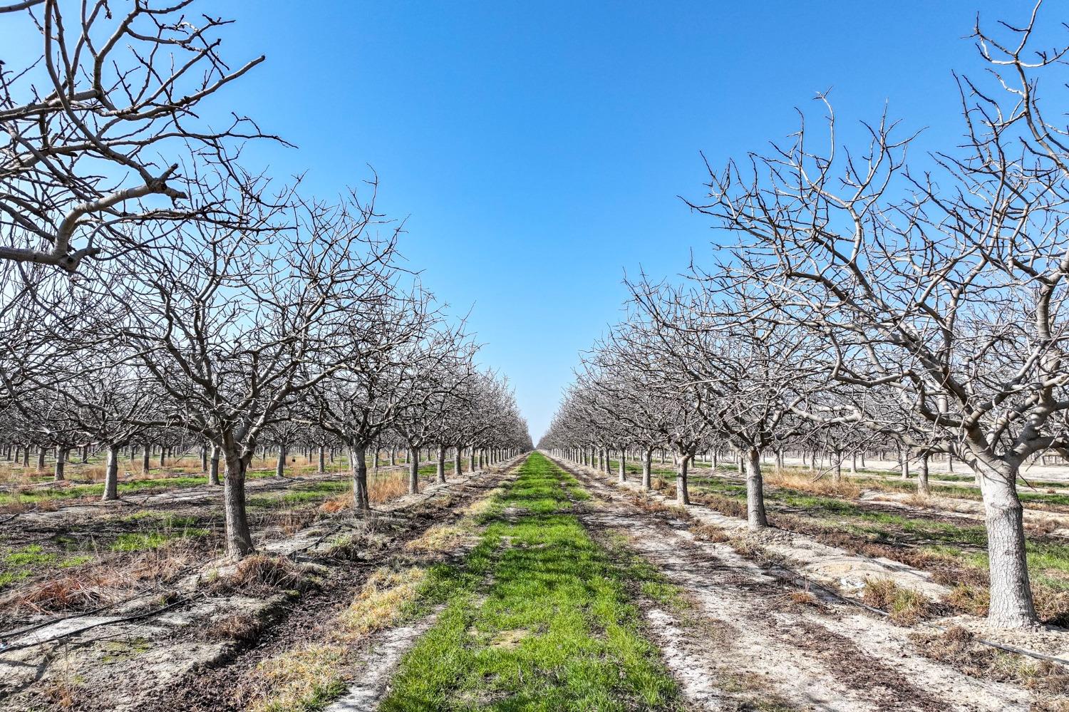 0 0 Hwy 43, Allensworth, CA 93219