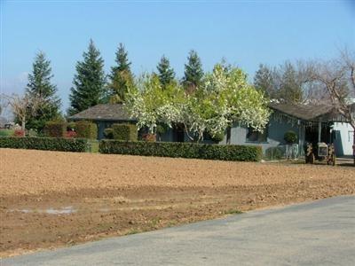 4588 N Mccall Ave, Sanger, CA 93657