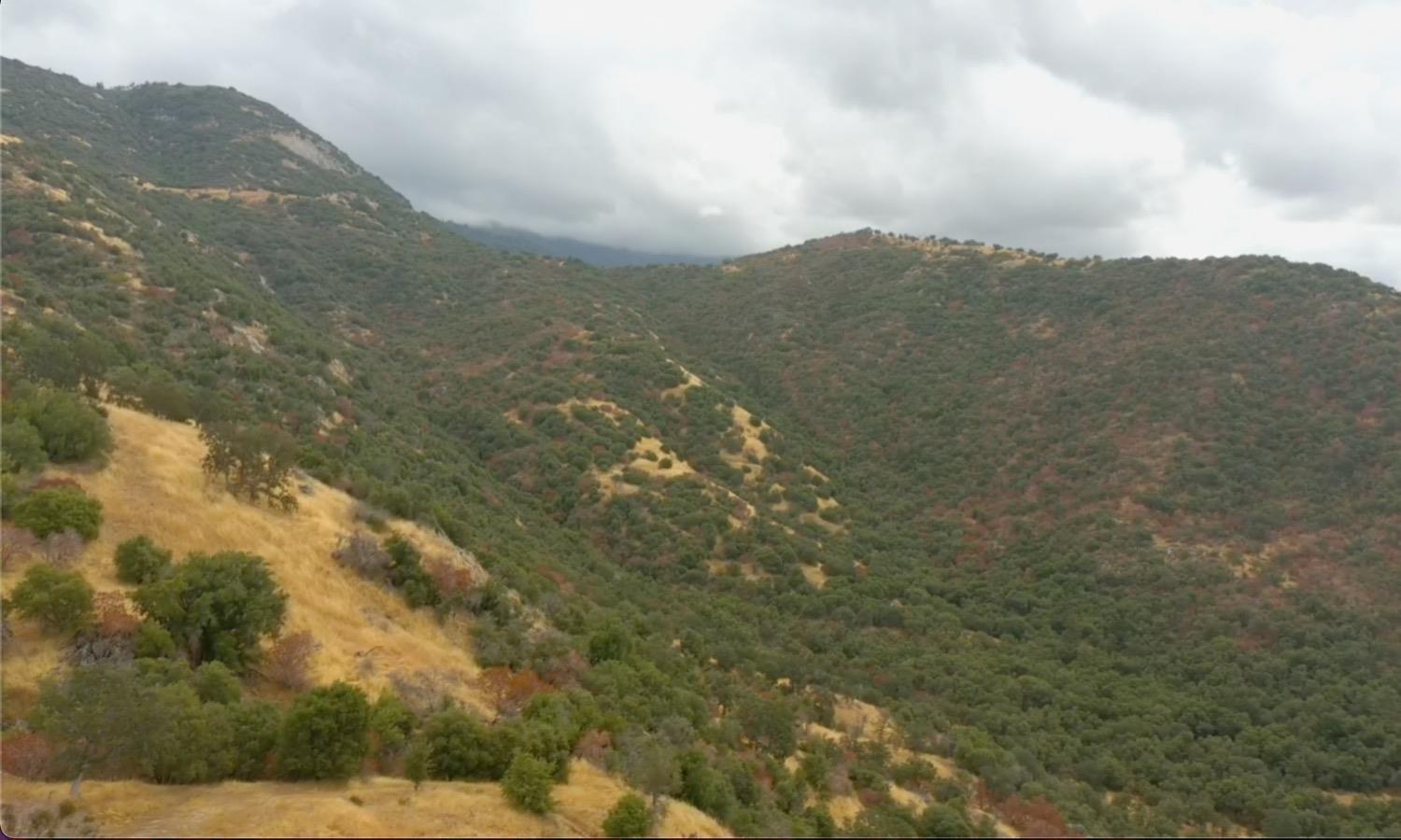 1 Millwood Rd, Dunlap, CA 93621