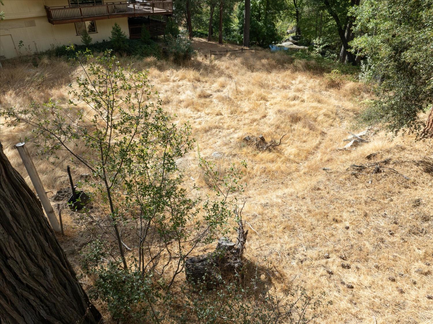 42893 Scenic, Oakhurst, CA 93644